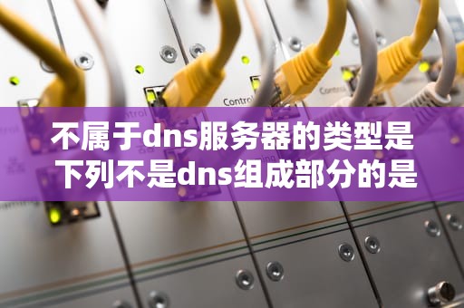不属于dns服务器的类型是 下列不是dns组成部分的是