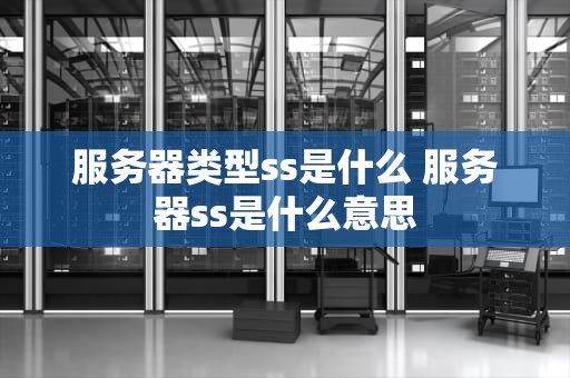 服务器类型ss是什么 服务器ss是什么意思