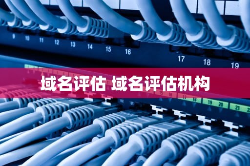 域名评估 域名评估机构