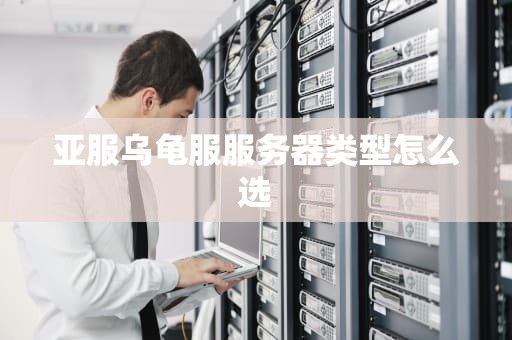 亚服乌龟服服务器类型怎么选