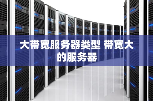 大带宽服务器类型 带宽大的服务器