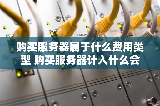购买服务器属于什么费用类型 购买服务器计入什么会计科目