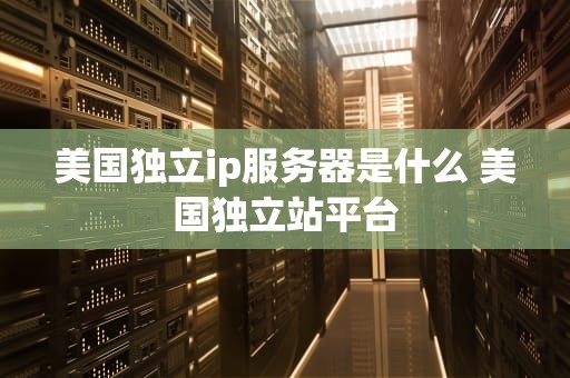 美国独立ip服务器是什么 美国独立站平台