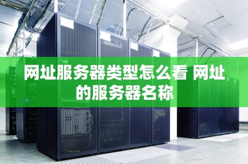 网址服务器类型怎么看 网址的服务器名称