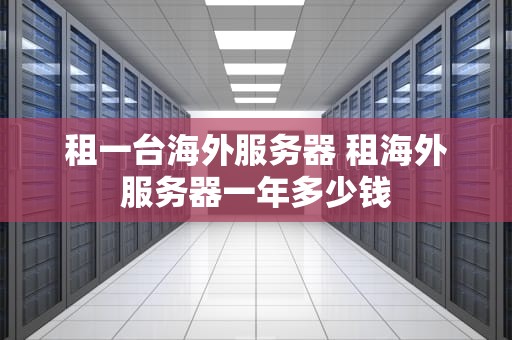 租一台海外服务器 租海外服务器一年多少钱