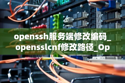 openssh服务端修改编码_opensslcnf修改路径_OpenSSH服务端编码修改的深入探讨