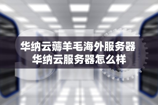 华纳云薅羊毛海外服务器 华纳云服务器怎么样
