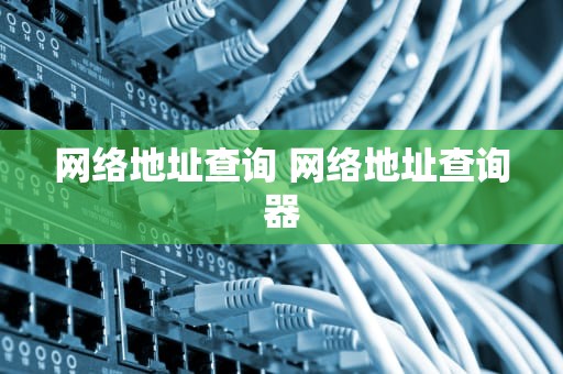 网络地址查询 网络地址查询器