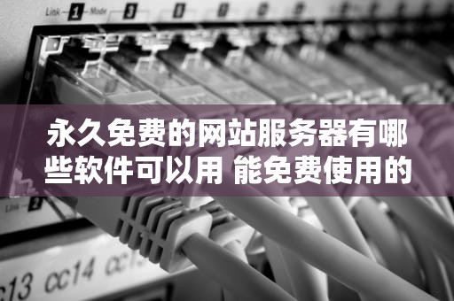 永久免费的网站服务器有哪些软件可以用 能免费使用的服务器