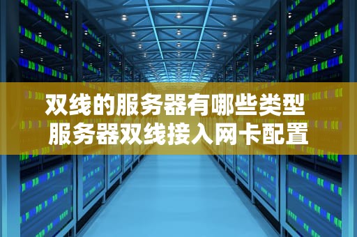 双线的服务器有哪些类型 服务器双线接入网卡配置