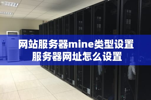 网站服务器mine类型设置 服务器网址怎么设置