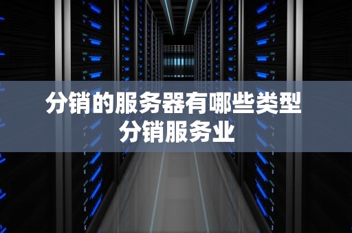 分销的服务器有哪些类型 分销服务业