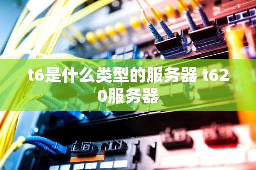 t6是什么类型的服务器 t620服务器