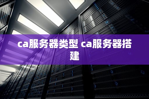 ca服务器类型 ca服务器搭建