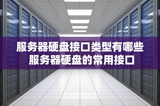 服务器硬盘接口类型有哪些 服务器硬盘的常用接口