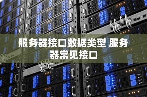 服务器接口数据类型 服务器常见接口