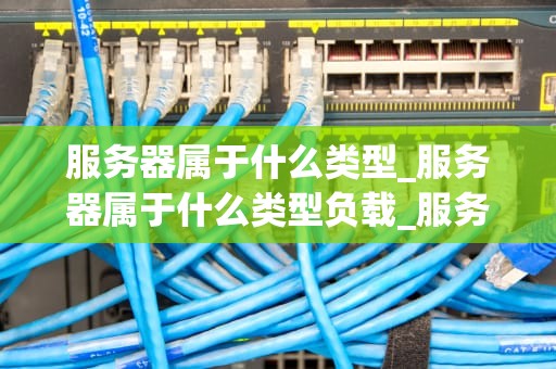 服务器属于什么类型_服务器属于什么类型负载_服务器的类型及其应用