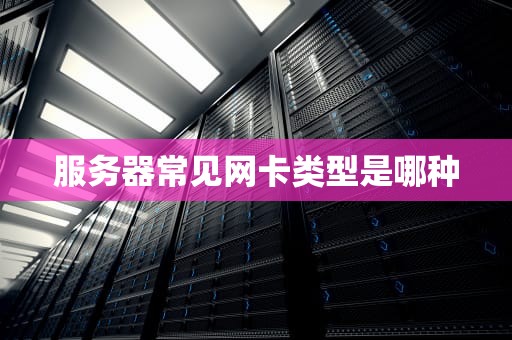 服务器常见网卡类型是哪种