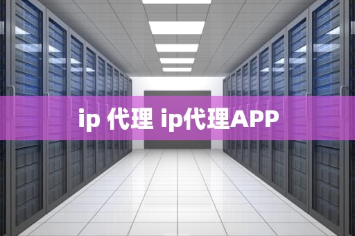 ip 代理 ip代理APP