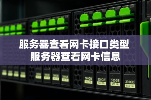 服务器查看网卡接口类型 服务器查看网卡信息