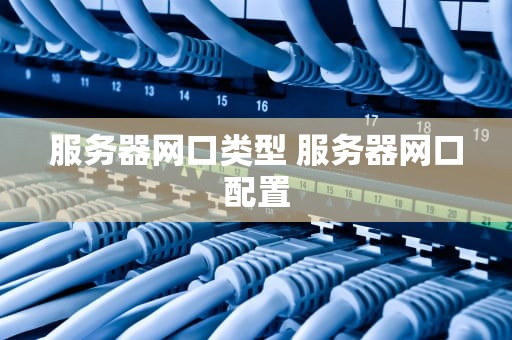 服务器网口类型 服务器网口配置