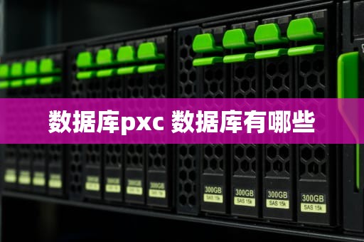 数据库pxc 数据库有哪些
