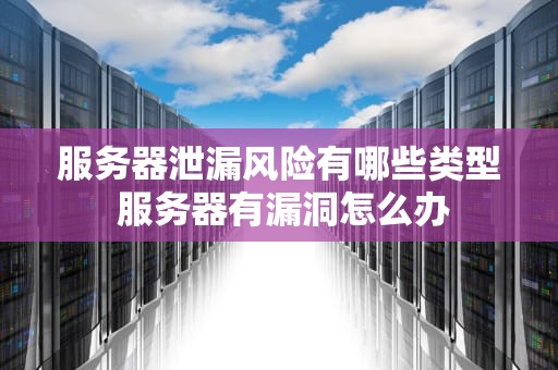 服务器泄漏风险有哪些类型 服务器有漏洞怎么办
