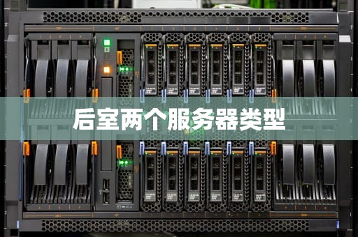 后室两个服务器类型