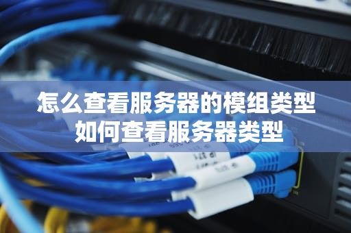 怎么查看服务器的模组类型 如何查看服务器类型