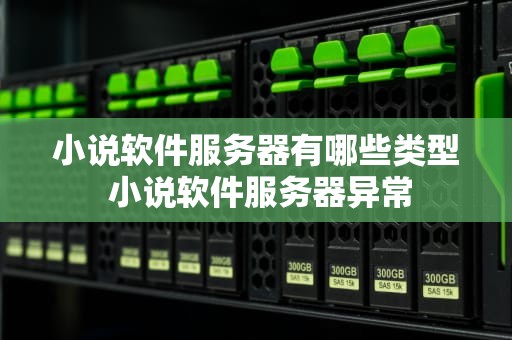 小说软件服务器有哪些类型 小说软件服务器异常