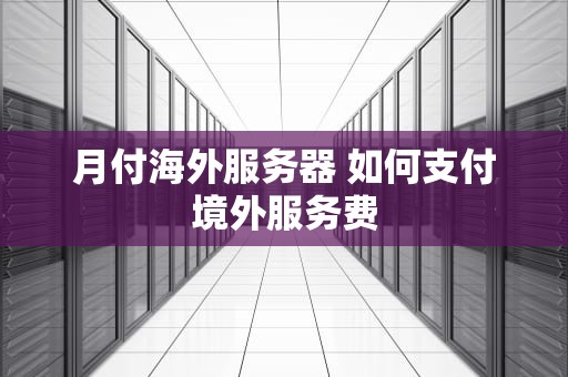 月付海外服务器 如何支付境外服务费