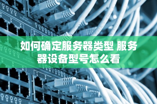 如何确定服务器类型 服务器设备型号怎么看