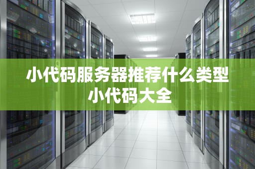 小代码服务器推荐什么类型 小代码大全