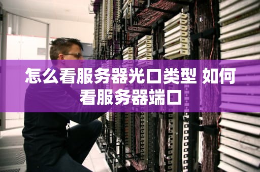 怎么看服务器光口类型 如何看服务器端口