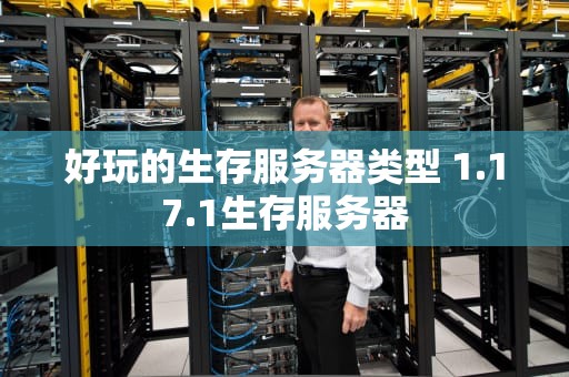 好玩的生存服务器类型 1.17.1生存服务器