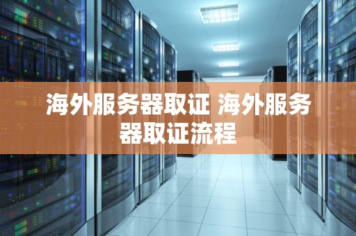 海外服务器取证 海外服务器取证流程
