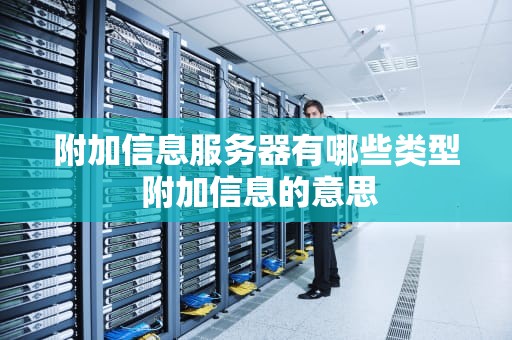 附加信息服务器有哪些类型 附加信息的意思