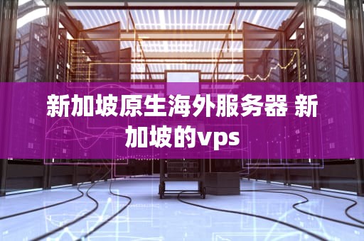 新加坡原生海外服务器 新加坡的vps