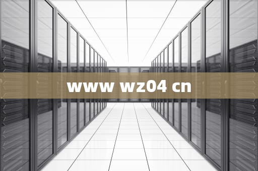 www wz04 cn