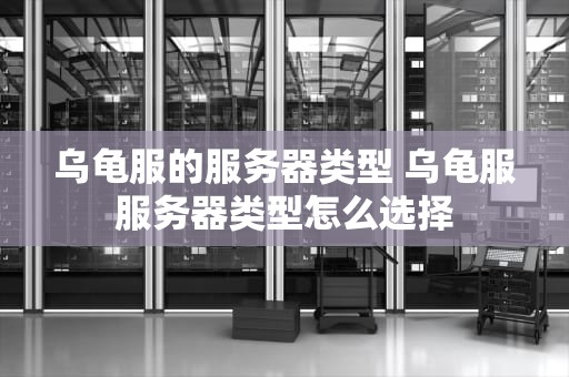 乌龟服的服务器类型 乌龟服服务器类型怎么选择