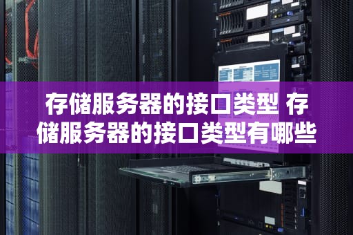 存储服务器的接口类型 存储服务器的接口类型有哪些