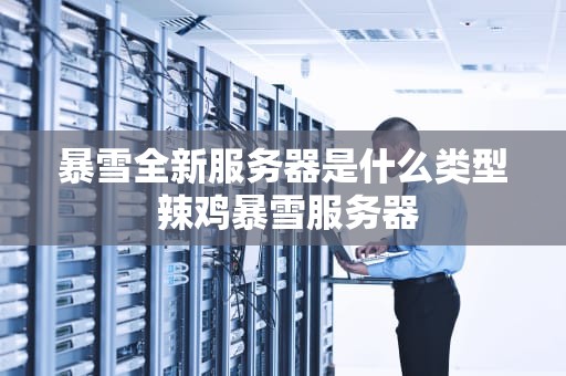 暴雪全新服务器是什么类型 辣鸡暴雪服务器