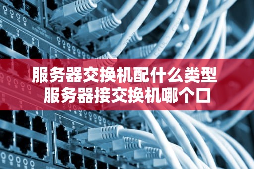 服务器交换机配什么类型 服务器接交换机哪个口