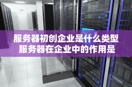 服务器初创企业是什么类型 服务器在企业中的作用是什么