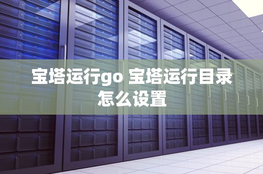 宝塔运行go 宝塔运行目录怎么设置
