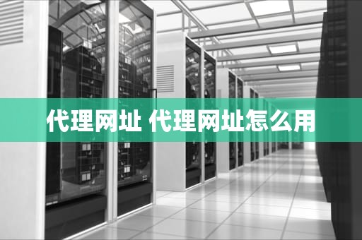 代理网址 代理网址怎么用