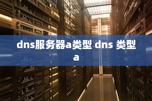 dns服务器a类型 dns 类型a