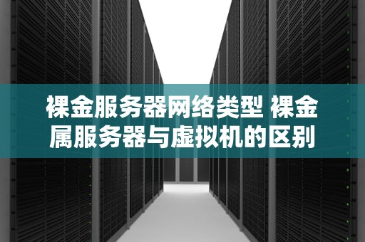 裸金服务器网络类型 裸金属服务器与虚拟机的区别