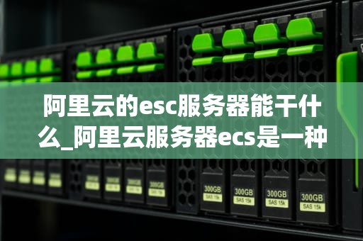阿里云的esc服务器能干什么_阿里云服务器ecs是一种简单高效_阿里云ECS服务器的多元化应用