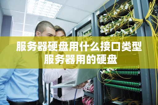服务器硬盘用什么接口类型 服务器用的硬盘